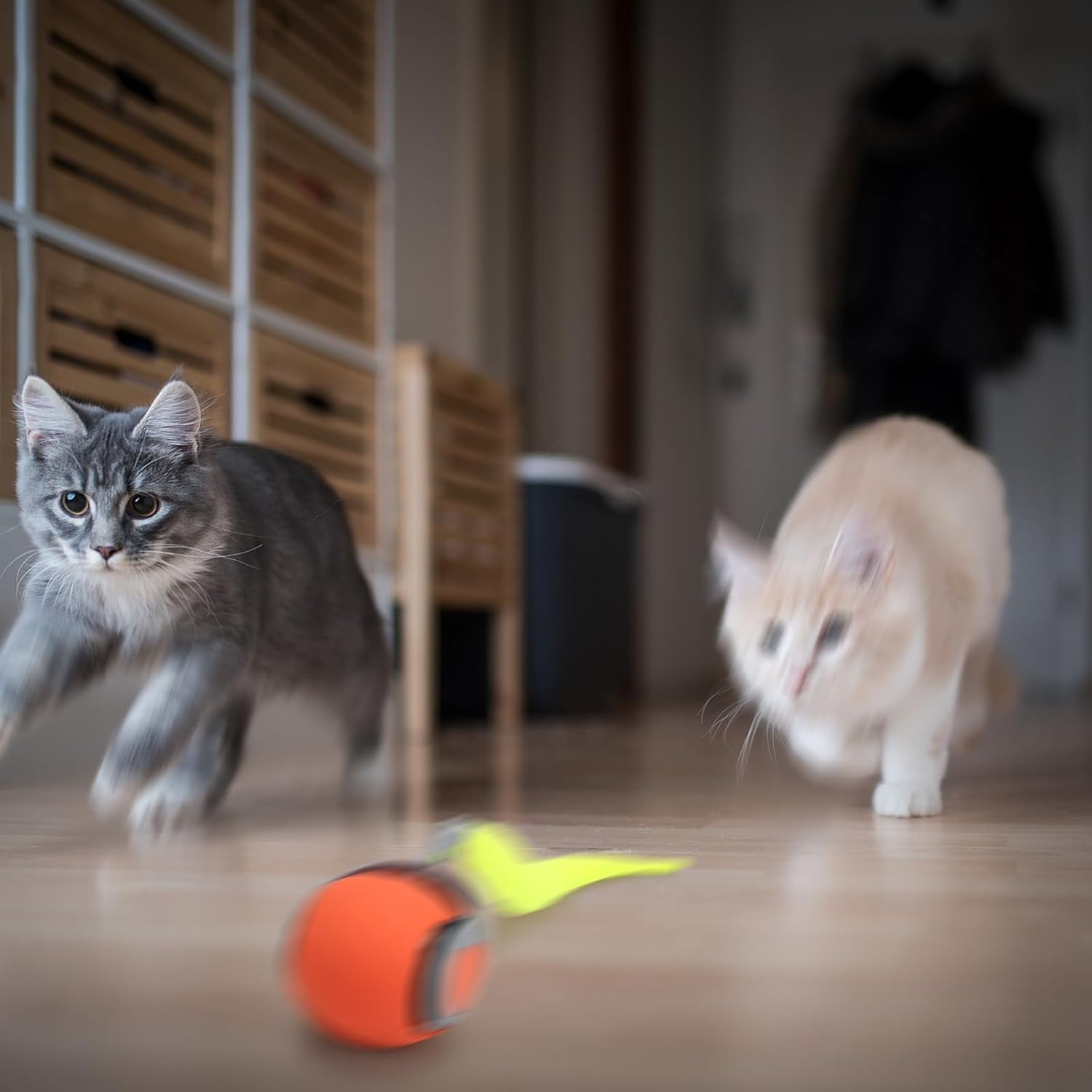 Speedy Tail 2.0, Automatic Moving Cat Toy Ball with Tail, Smart Interactive Cat Toy Ball, Two Speed Adjustment(Orange + Blue)