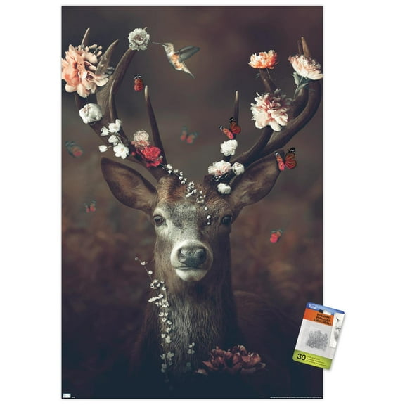Reinders - Fauna Flora Deer Wall Poster with Pushpins, 22.375" x 34"