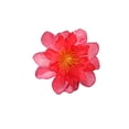 thumbnail image 2 of Cabezas de Flores de Seda - Paquete de 10 Cabezas de Rosas Artificiales de Tela, Decoraciones Falsas de 2.95 Pulgadas para Manualidades DIY, Decoración de Bodas, Coronas, Ramilletes, Decoración del, 2 of 6