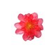 thumbnail image 2 of Flores Artificiales De Tela 10 cabezas de flores de seda rojas,flores artificiales de tela para decoraciones DIY,bodas,fiestas,manualidades y arreglos florales. Rkxzt, 2 of 9