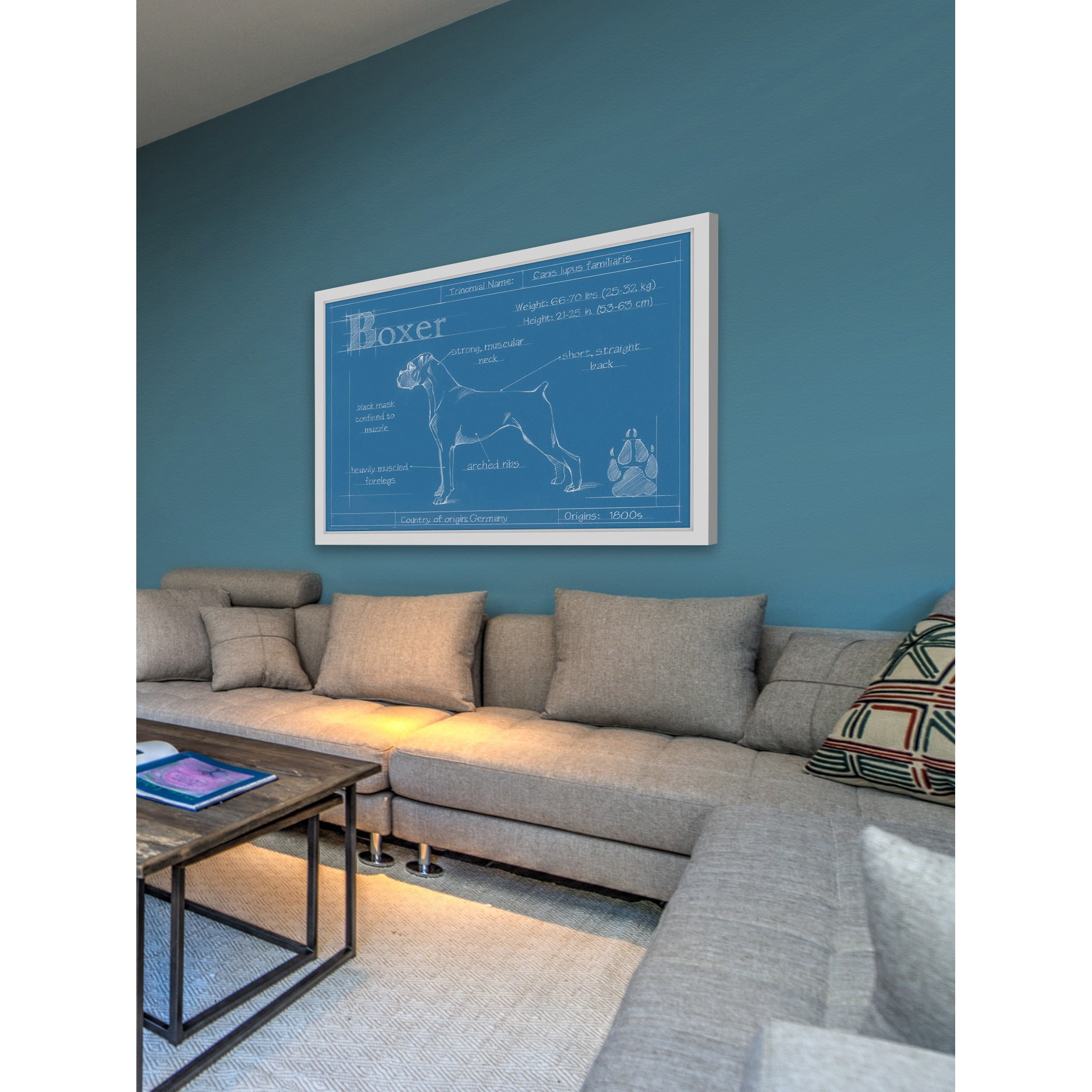 Marmont Hill "Blueprint Boxer" Framed Painting Print