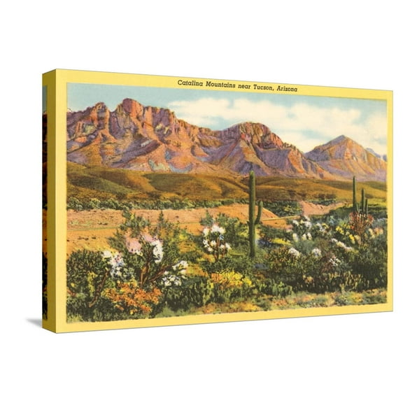 Art.com Catalina Mountains, Tucson, Arizona Stretched Canvas Print Wall Art, 24" x 16"