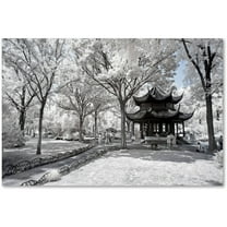 Trademark Fine Art "Coldness" Canvas Art by Philippe Hugonnard