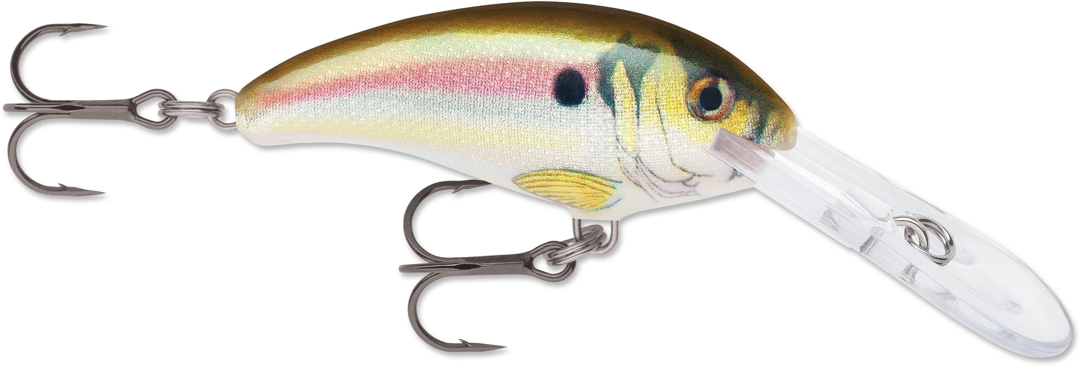 Bass Assassin CSA35550 Curly Shad Halloween 2" Soft Plastic Fishing Lure for sale online 