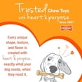 thumbnail image 4 of Hueso Nylabone TFN330P Rosa Dentando Talla Extra Chico, 4 of 13