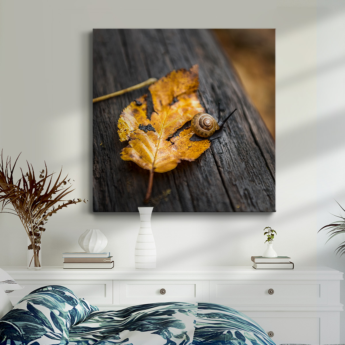 Wexford Home Snail's Pace-Premium Gallery Wrapped Canvas, 16" x 16" - Ready to Hang