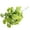 White, variant on 1 Pc 12" Flocked Artificial Echeveria Succulent Stem, Realistic Plastic Succulent Bunches for Autumn Home Decor, Mustard Yellow