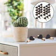 thumbnail image 4 of Rongfmy 30Pcs Wooden Clothespins Mini Wooden Clips Photo Clips Craft Clips Craft Clips Black, 4 of 9