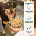 thumbnail image 4 of The Farmer’s Dog Fresh Human-Grade Dog Food, Poultry Set: Chicken, Turkey, Chicken & Grain, Personalized Meal Plan Subscription for all Breeds & Sizes, 4 of 10