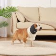 thumbnail image 4 of Clearance!Pet Soothing Dog Headgear Dog Scarf Relieve Anxiety Soothing Headgear Scarf Gray L, 4 of 4