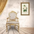 thumbnail image 3 of Charles Antoine Lemaire 17x24 Gold Ornate Framed and Double Matted Museum Art Print Titled - Camellia Fanny Sanchioli (1854-1896), 3 of 4