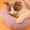 Purple, variant on Cats Pillow Pet Pillow Wear Resistants Small Pillow Half Donut Pillow Can Be Washed Machine Washed Small Pillow Soft Warm Fluffies Pet Toys