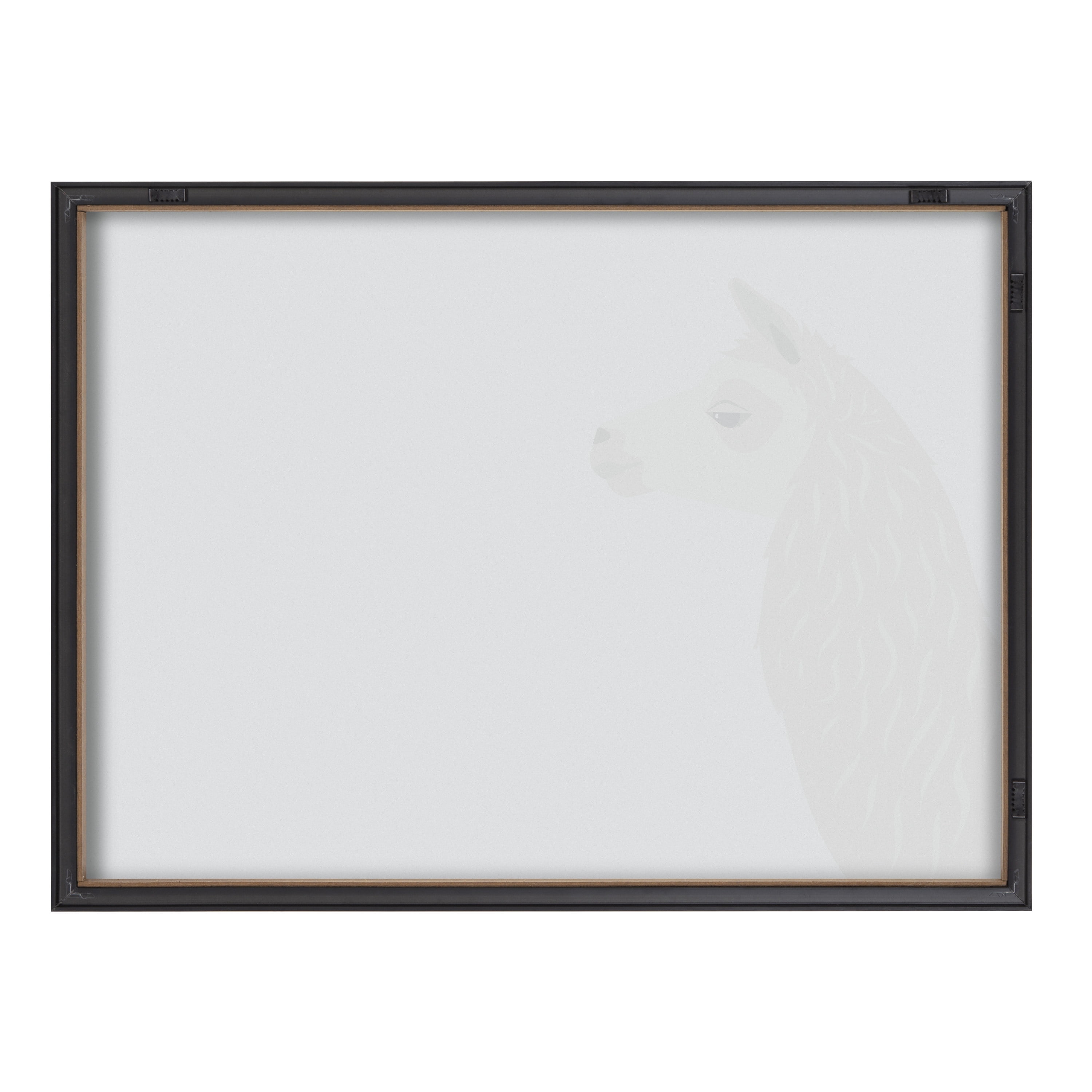 Kate and Laurel Blake Llama Larry Framed Printed Glass Dry Erase Wall Art by Rocket Jack, 18x24 Gray, Contemporary Printed Glass Wall Decor
