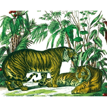 Wild Jungle - Jungle Flair V Poster Print by Wild Apple Portfolio