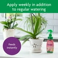 thumbnail image 6 of Miracle-Gro Ready to Use Orchid Plant Food Mist, For Indoor Orchid Plants, 8 oz., 6 of 12