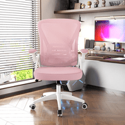 Biggzia Ergonomic Office Chair, Mid-Back Computer Chair with Adjustable Height, Flip-Up Arms and Lumbar Support, Mesh Desk Chair, Pink