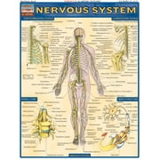 VINCENT PEREZ Nervous System (Other)