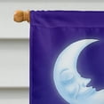 thumbnail image 3 of Carolines Treasures APH0243CHF Music under the Moon Penguins Flag Canvas House Size  Large multicolor, 3 of 4