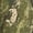 Green Camo, variant on Cotton Oversized Tee with Long Sleeves, Men's & Big Men's
