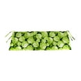 thumbnail image 1 of Weather-Resistant Outdoor Swing / Bench Cushion, 47" x 16", 1 of 1