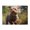 500 Pieces, variant on 500-Piece Wooden Jigsaw Puzzle for Adults - Happy Dog Running Meadow , Fun & Relaxing Family Game, No-Dust Interlocking Pieces, Perfect Wall Decor & Holiday Gift
