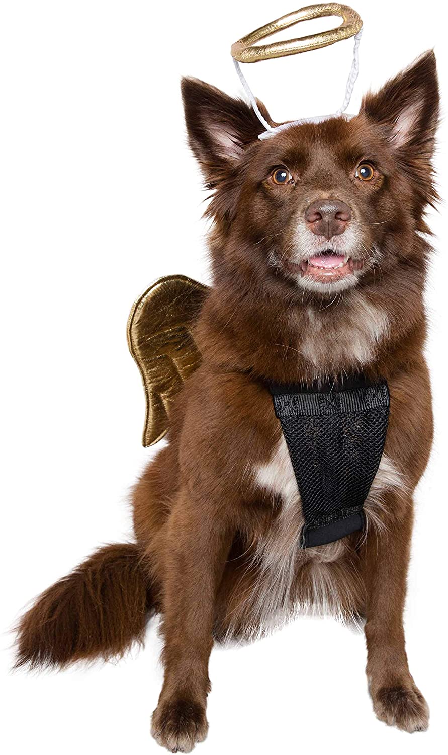 Pet Krewe Angel Dog Costume Wings & Cat Angel Costume Wings - Harness Attachment, One Size Fits All - Perfect for Halloween, Christmas Holiday, Parties, Photoshoots, Gifts for Dog & Cat Lovers