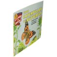 thumbnail image 3 of From Caterpillar to Butterfly (Let's-Read-and-Find-Out Science 1), 3 of 4