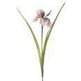 thumbnail image 2 of 26" Artificial Iris Flower, Real Touch Fake Flower Bouquet with Long Stem for Flower Arrangement, Wedding Centerpiece, Bridal Bouquet, Home Kitchen Party Decor, 2 of 8