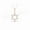 Rose, variant on Star Of David Pendant Necklace 18" Inches Cabel Chain Jewelry Gift For Women 14K Yellow Gold Plating 925 Sterling Silver