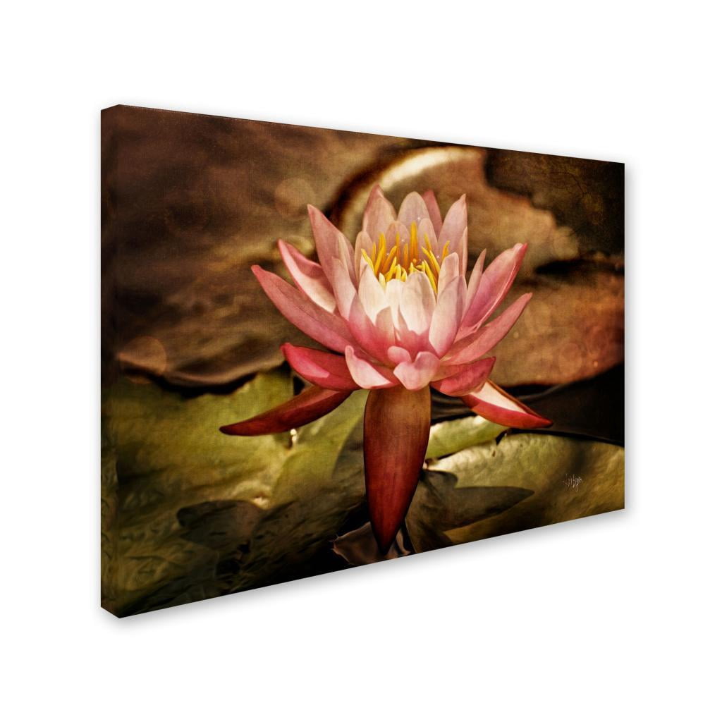 Trademark Fine Art "Magic Lily" Canvas Art by Lois Bryan