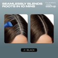 thumbnail image 4 of Tinte de pelo Clairol Root Touch-Up Permanent, 2 negros, 2 unidades, 4 of 9