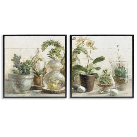 Stupell Industries Succulent House Plants Country Charm Botanical & Floral Painting Black Framed Art Print Wall Art, 17 x 17, Set of 2