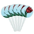 thumbnail image 1 of Tulip Cupcake Picks Toppers - Set of 6, 1 of 1