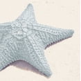 thumbnail image 2 of Mansfield, Kathy 26x26 White Modern Wood Framed Museum Art Print Titled - Blue Starfish, 2 of 4