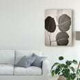 thumbnail image 3 of Trademark Fine Art 'Eucalyptus Sepia' Canvas Art by Debra Van Swearingen, 3 of 4