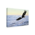 thumbnail image 2 of Trademark Fine Art 'Ocean Dawn Eagle' Canvas Art by Ron Parker, 2 of 3