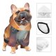 thumbnail image 3 of Fotbe Starry Sky Cute Horse Sudadera con Estampado para Perros Pequeños – Suéter con Capucha para Mascotas, Tela Suave de Forro Polar con Bolsillo-Medium, 3 of 7