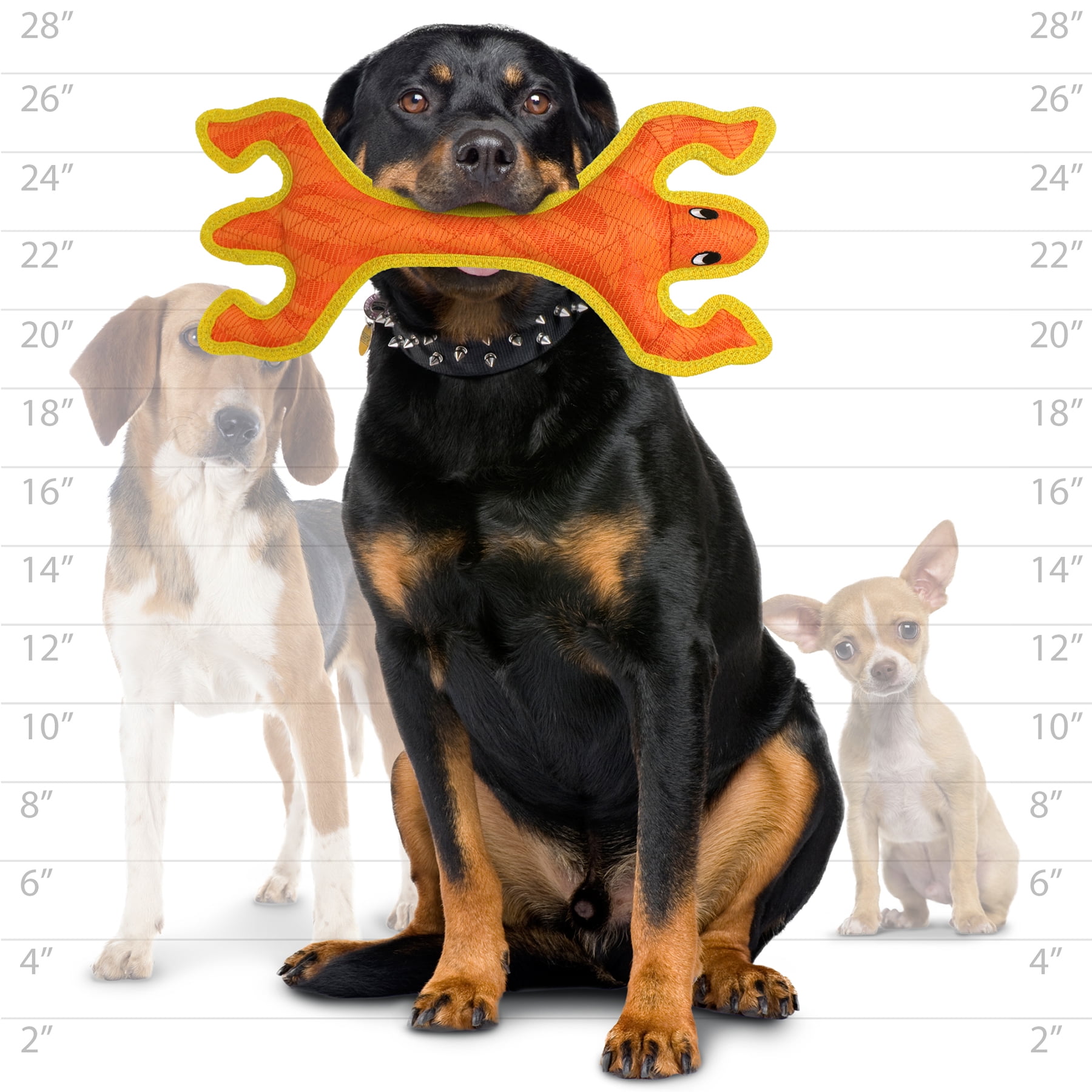 DuraForce Lizard Tiger Orange-Yellow, 2-Pack, Durable Woven Mesh Fiber Squeaky Dog Toy