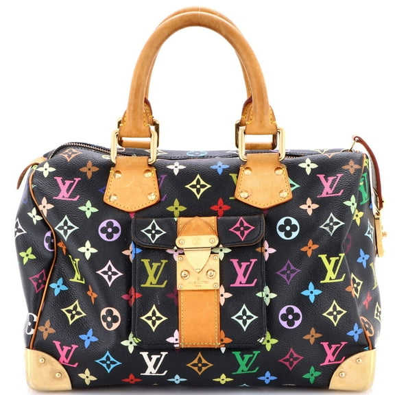 Pre-Owned Speedy Handbag Monogram Multicolor 30 By Rebag