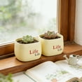 thumbnail image 4 of Fasiaou 4 Counts Plastic Flower Pot with Drainage Holes Thickened Durable Round Planter for Indoor Outdoor Plants Home Garden Decor Flocking Surface Decorative Vase, 4 of 6