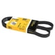 thumbnail image 1 of Banda Motor Clio 2003 A 2009 Renault L4 1.6L Serpentina 1110 mm CONTITECH, 1 of 3