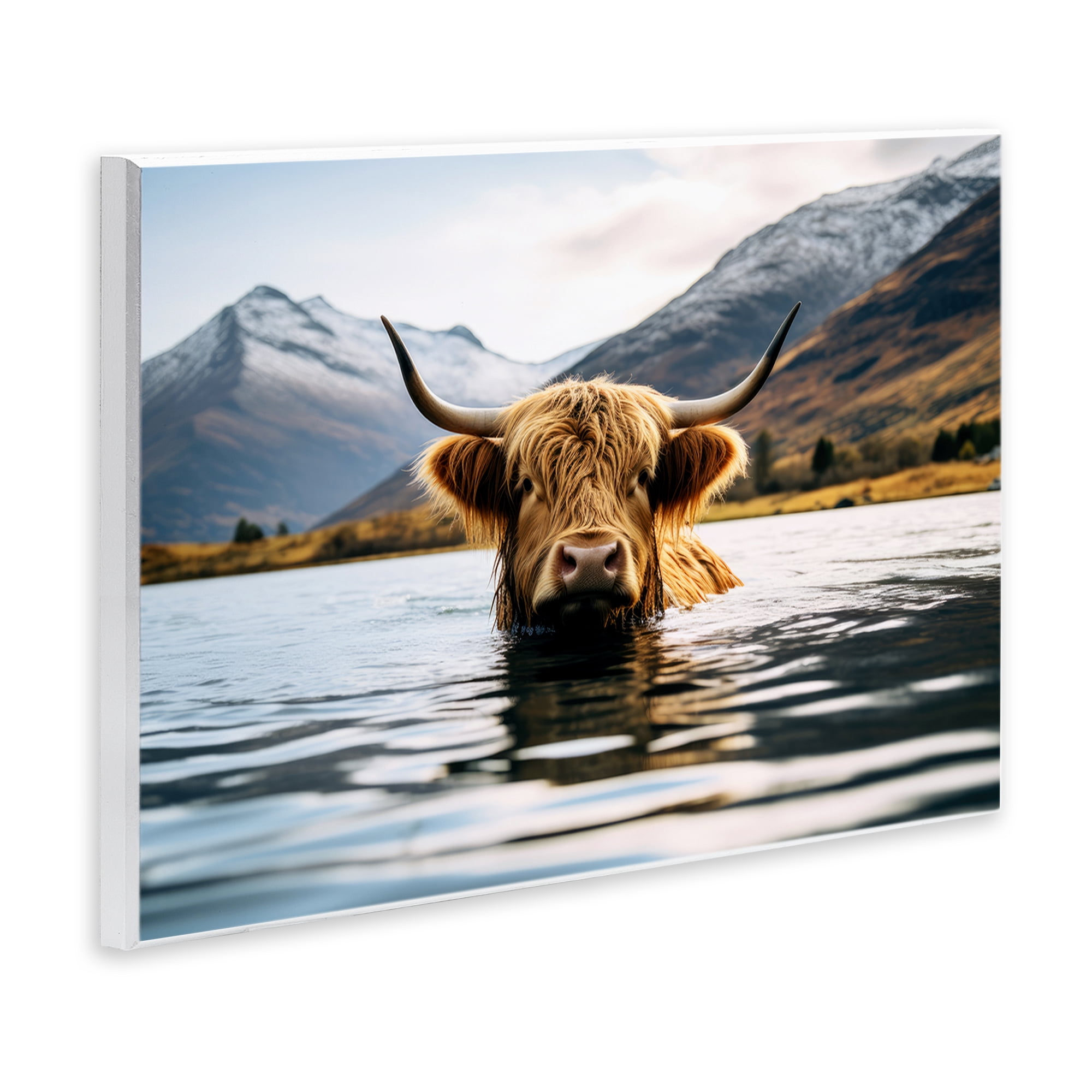 Stupell Industries Cattle Peeking from Water Animals Photography Unframed Art Print Wall Art, 19 x 13