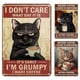 thumbnail image 3 of Placa Metal Vintage Gato Pintura Hierro Rectangular Bar para El Art20x30cm 3 Uds., 3 of 6