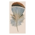 thumbnail image 2 of Incado 18x24 White Modern Wood Framed Museum Art Print Titled - Feather 04, 2 of 4