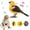 Orange, variant on Desktop ornament,Singing Chirping Bird Toy Artificial Bird Toy Realistic Chirping And Motion Cute Interactive Bird Toy Simulation Bird Toys For Kids Desk Battery Operated Des