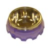 Molor Pet Food Bowl