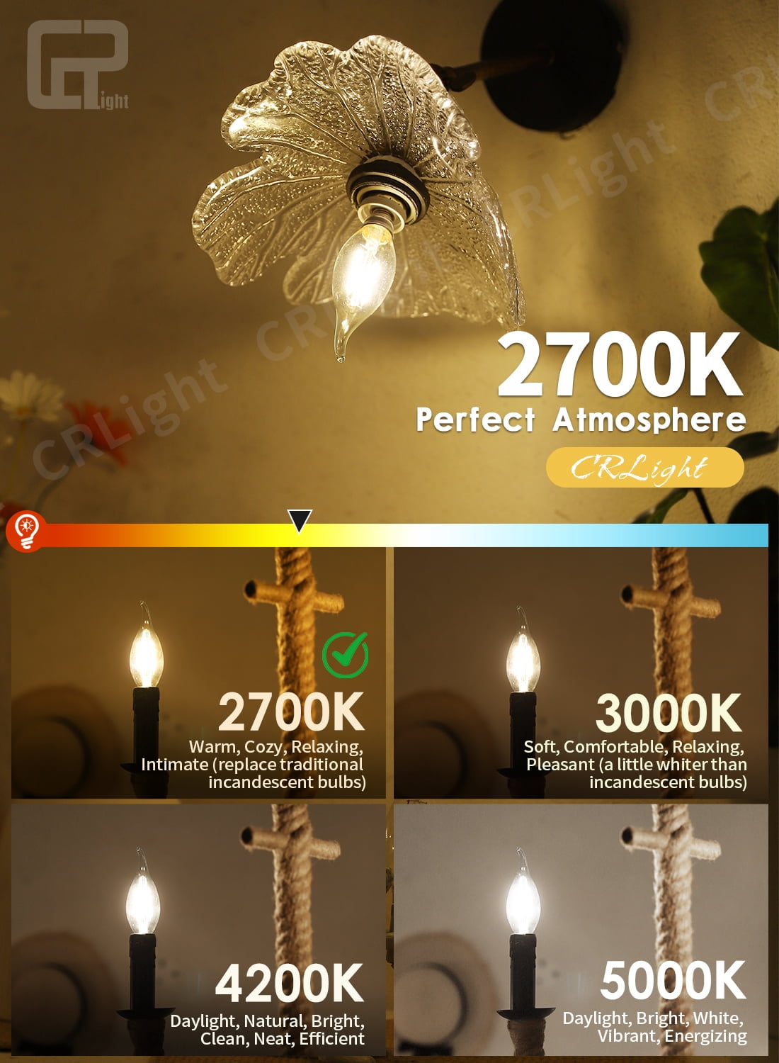 CRLight LED Dimmable 2W 25W Equivalent Warm White E12 C35 Decorative Light Bulbs, 10 Pack
