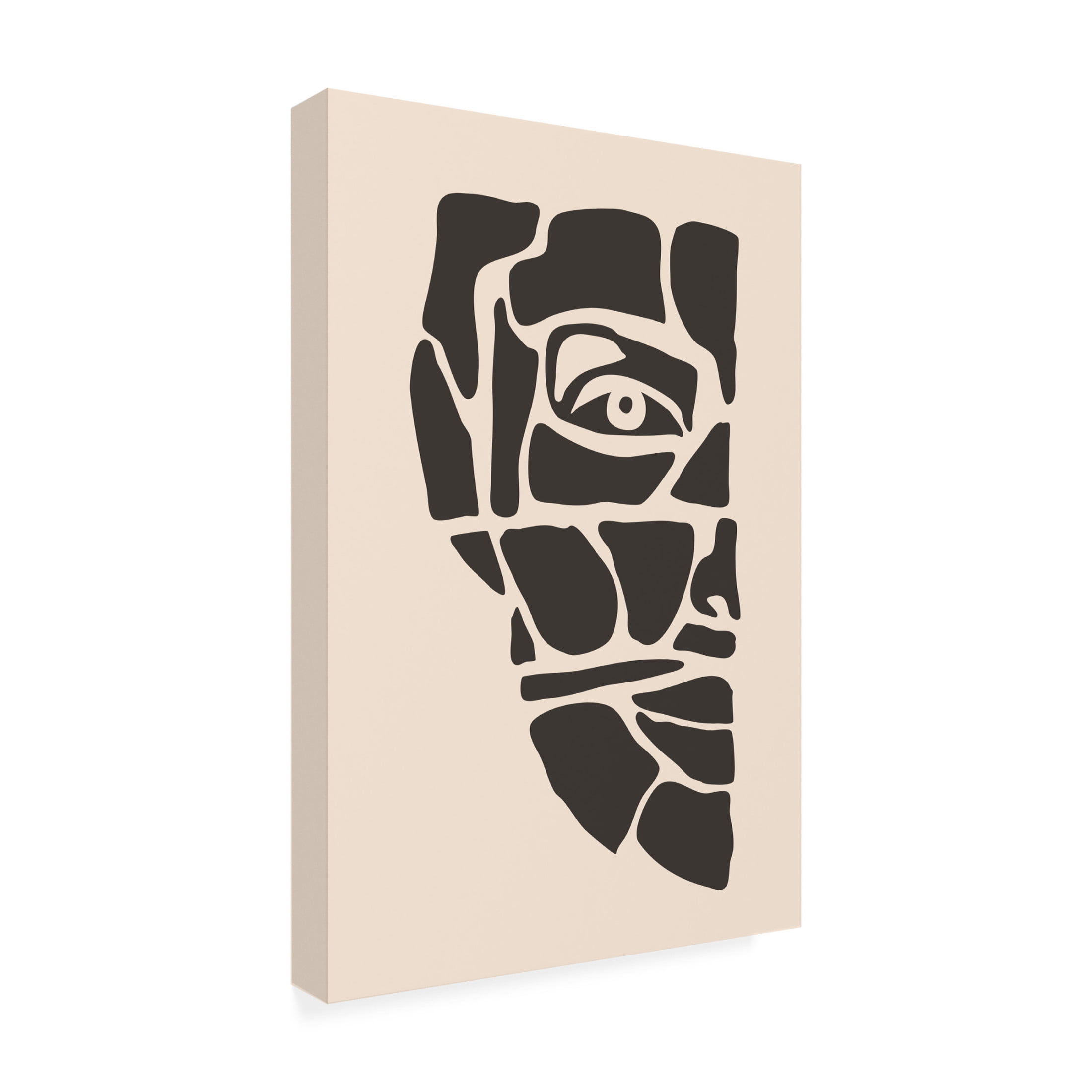 Trademark Fine Art jay stanley Abstract Face Series 3 Canvas Wall Art