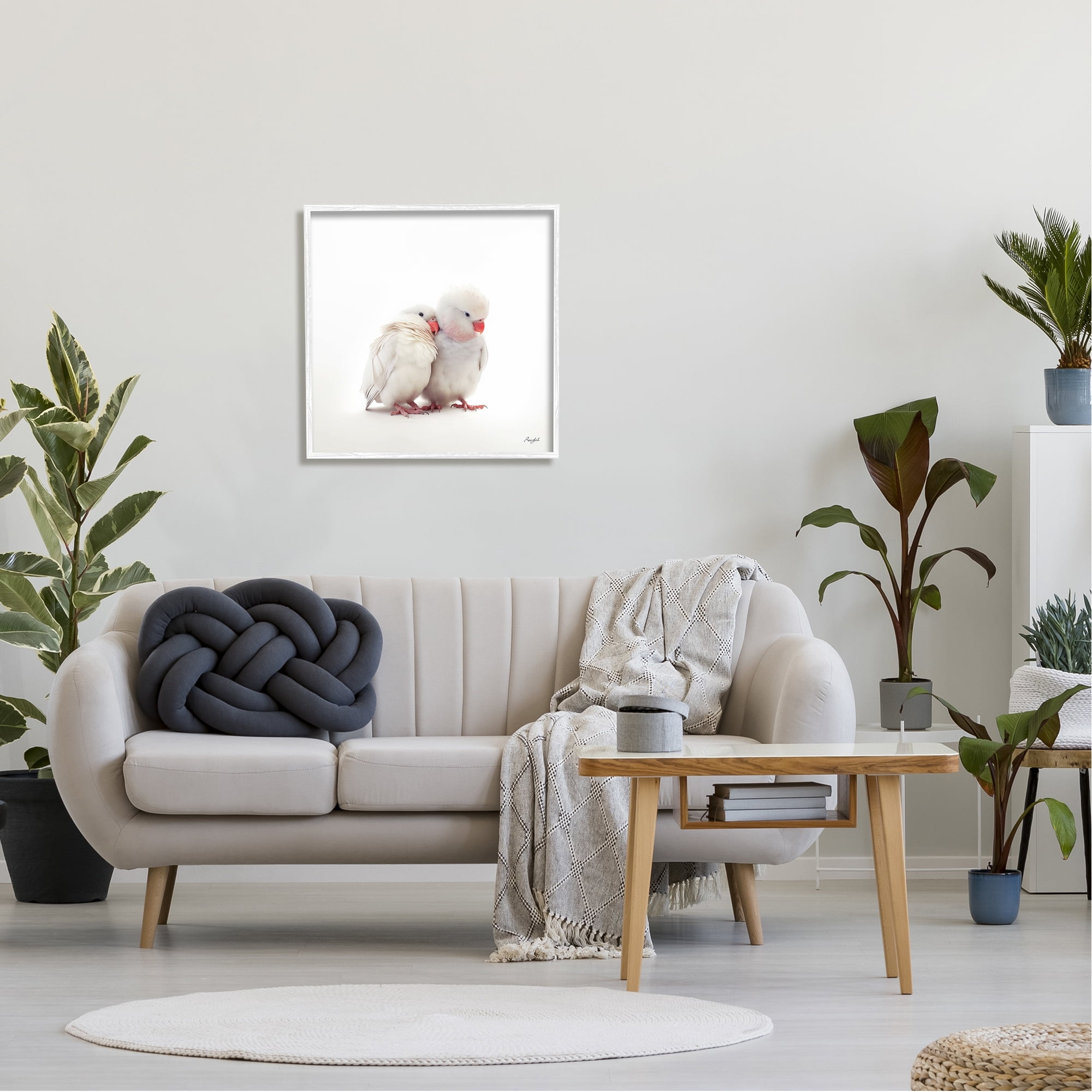 Stupell Industries White Love Birds Animals & Insects Painting White Framed Art Print Wall Art, 24 x 24