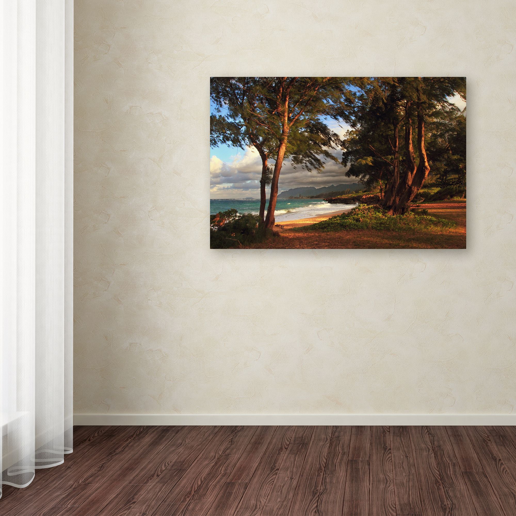 Trademark Fine Art "Hawaii 5" Canvas Art by Jason Shaffer